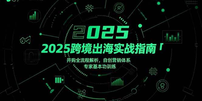 2025跨境出海实战指南，并购全流程解析，自创营销体系，专家基本功训练-可燃