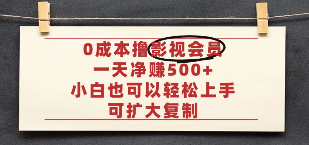 亲测,0成本可批量操作,靠卖影视会员实测月入30000+-可燃