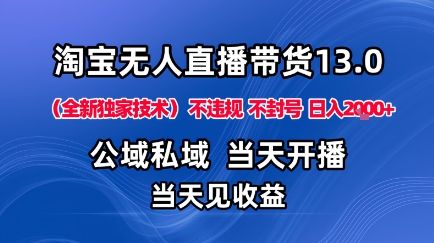 淘宝无人直播13.0，公域私域技术，不封号，不违规布局下半年旺季赛道，日入1K+（独家技术）-可燃