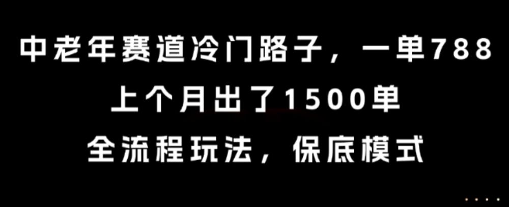 中老年赛道冷门路子，一单788，上个月出了1500单，全流程玩法，保底模式【揭秘】-可燃