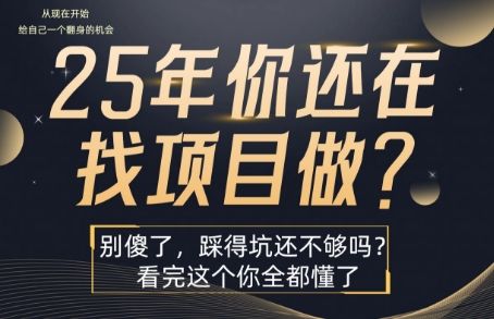 25年，你还在疯狂的找项目吗？别傻了，看完这个你都懂了【揭秘】-可燃