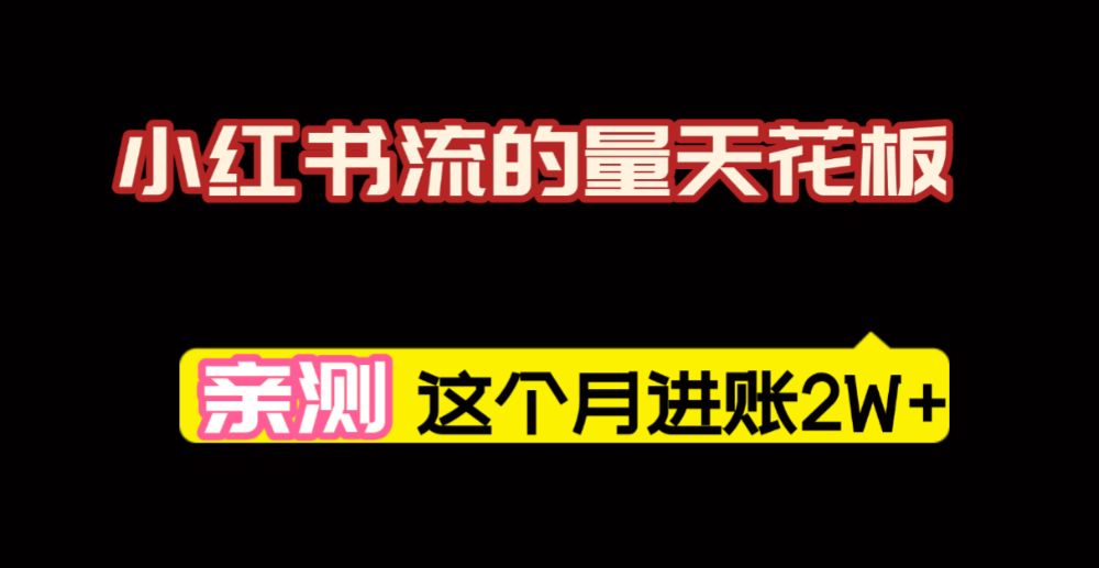 小红书的这个赛道，简直就是流量天花板，我这个月已经赚2W+（附带教程）-可燃