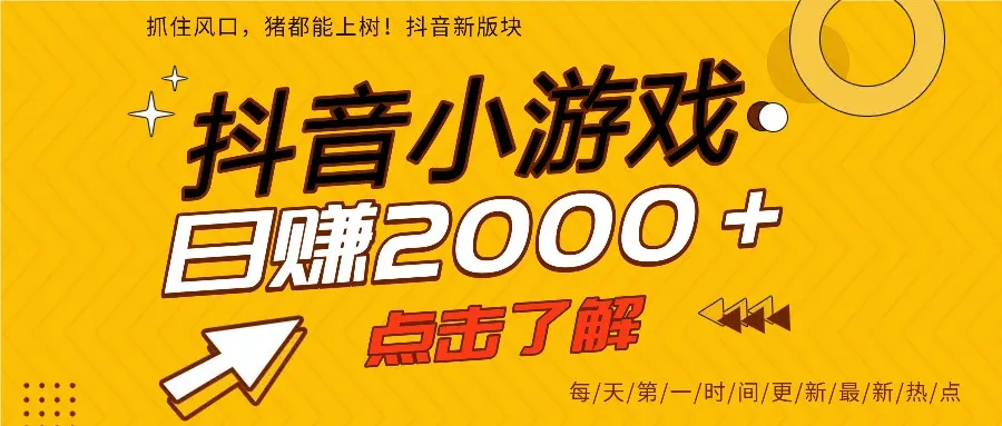 爆火的抖音小游戏，一部手机日入2000+-可燃