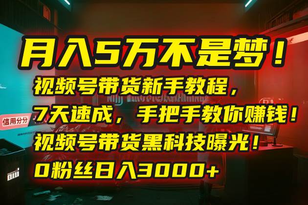 月入5万不是梦！视频号带货新手教程，7天速成，手把手教你赚钱！视频号…-可燃