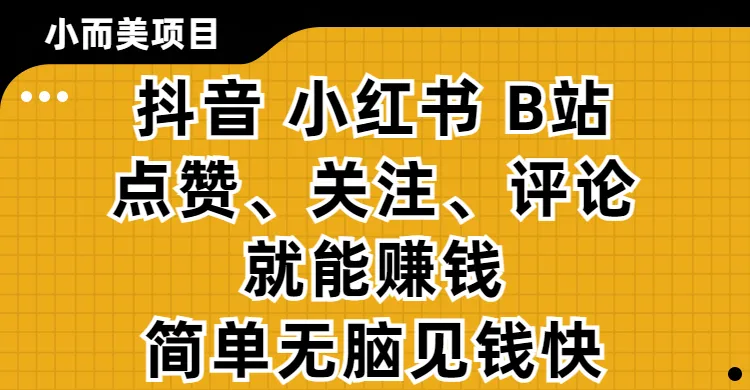 小而美的项目，抖音、小红书、B站视频点赞、关注、评论就能赚钱，简单无脑立见收益!妥妥的零撸项目-可燃