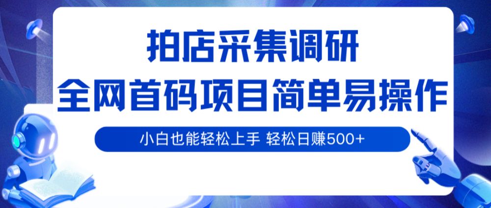 拍店采集调研，全网首码项目，简单易操作， 小白也能轻松上手，轻松日赚500+-可燃