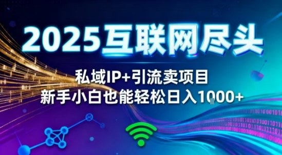2025网创尽头王炸项目!私域IP+精准引流,新手小白在家躺賺日入1k,零经验也能上手-可燃