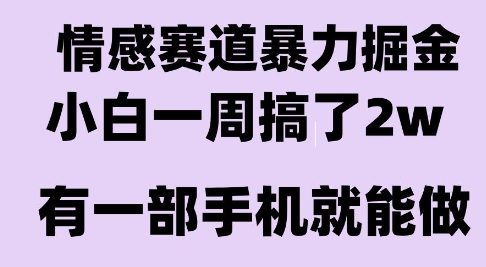 情感暴力掘金项目，新人操作一周挣了2W，长期稳定小白可做【揭秘】-可燃