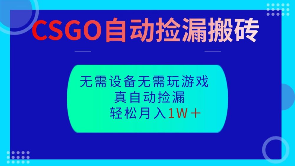 CSGO自动捡漏搬砖,当天操作当天见结果,无需了解游戏,包教包会包落地-可燃