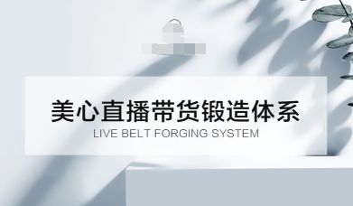 直播带货锻造体系课，5G时代美心一站式帮你开启直播带货之路-可燃