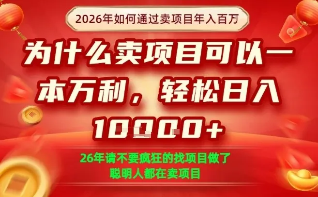 一单净利润1K+，26年想年入100个W，死磕卖项目就够了-可燃