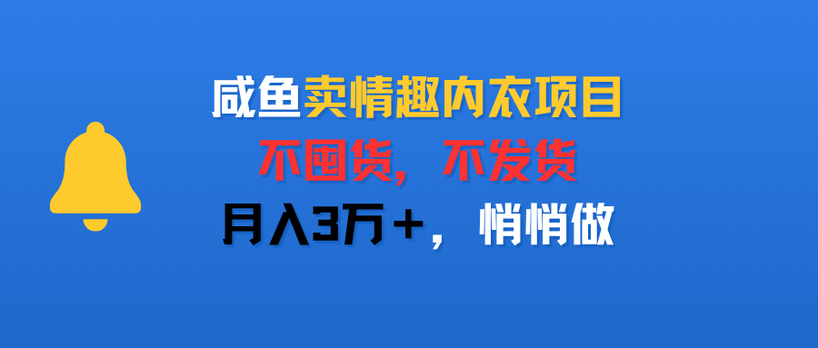 咸鱼卖情趣内衣项目，不囤货，不发货，月入3万＋，悄悄做-可燃