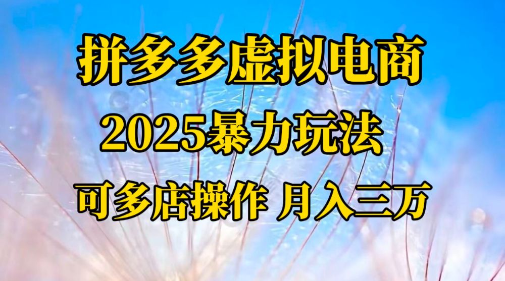 拼多多虚拟电商，不囤货不垫资的虚拟电商-可燃
