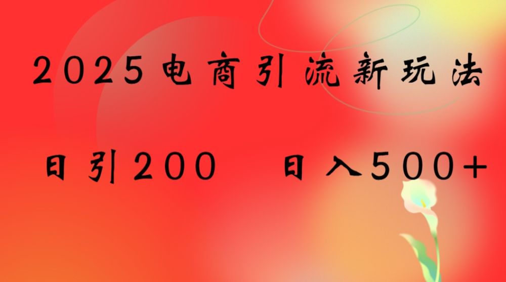 2025电商引流新玩法,日引200 日入500+-可燃