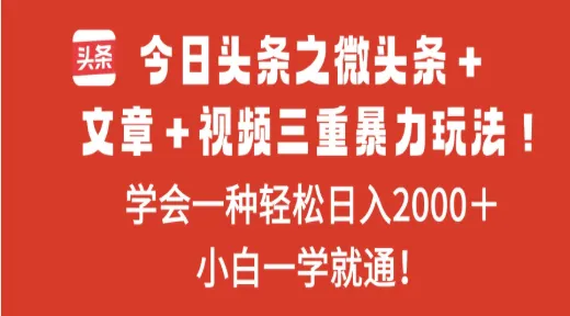 今日头条之微头条+文章+视频三重暴力玩法,学会一种轻松日入2000+-可燃