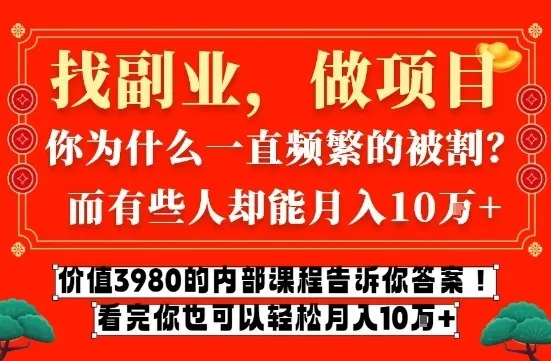 价值3980的网创内部课程，告诉你互联网创业月入10个W的秘密-可燃