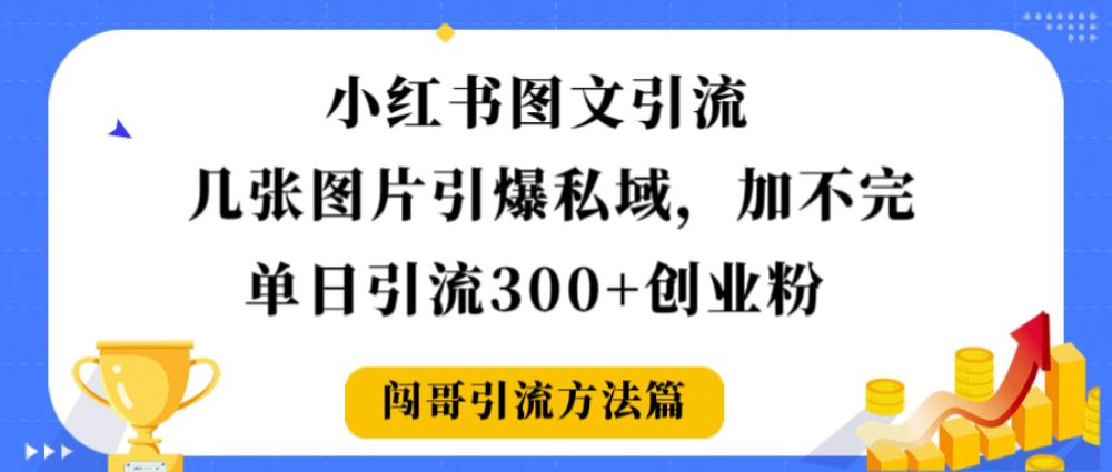小红书图文引流，几张图片引爆私域加不完，单日引流300＋创业粉-可燃