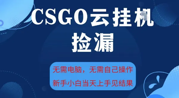 CSGO云挂G全自动捡漏，最新独家玩法，无需电脑操作，新手小白日入5张+-可燃