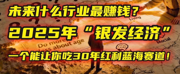 未来什么行业最赚钱？马哥揭秘2025年“银发经济”：一个能让你吃30年红利的蓝海赛道！-可燃