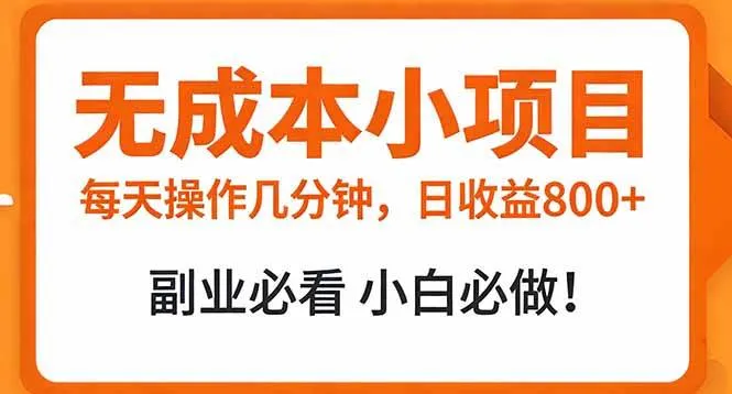 无成本小项目 每天操作几分钟，真实日收益800+ 副业必看 小白必做！-可燃