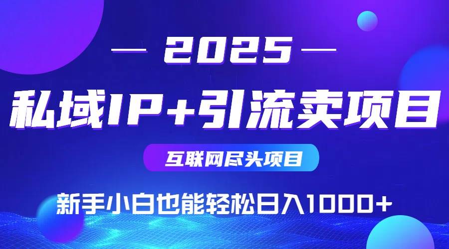 2025网创尽头项目,私域IP+引流,新手小白也能在家日入1000+-可燃
