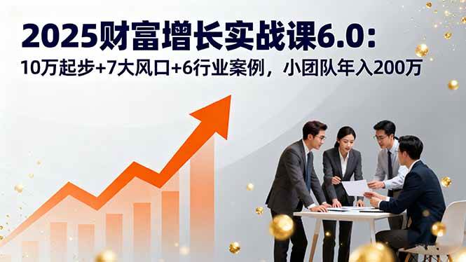 2025财富增长实战课6.0:10万起步+7大风口+6行业案例,小团队年入200万-可燃